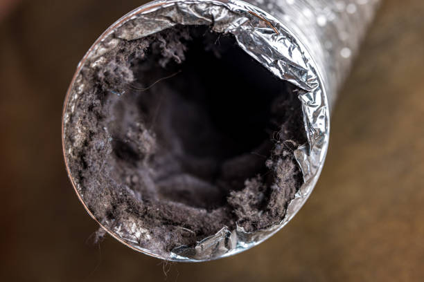 Best Ductwork Cleaning Services  in Dix Hills, NY